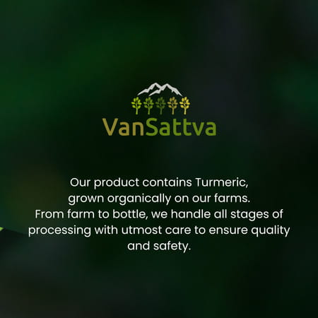 Vansattva Turmeric Capsule - 60n