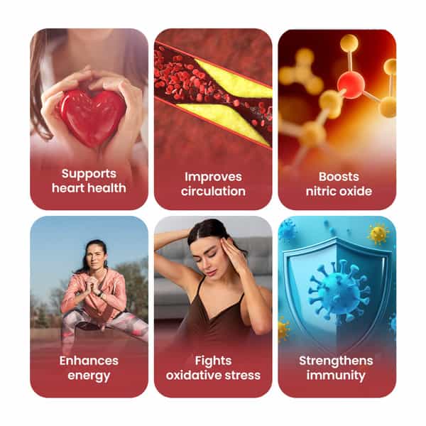 Nutrazen Heart Health Boost 300G
