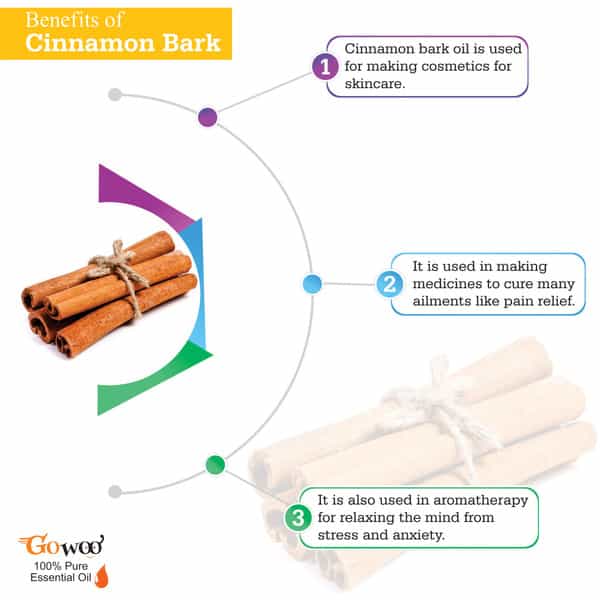 Pack Of 2 Cinnamon Bark Essential Oil & Marula Carrier Oil - 100% Pure & Natural Oil
