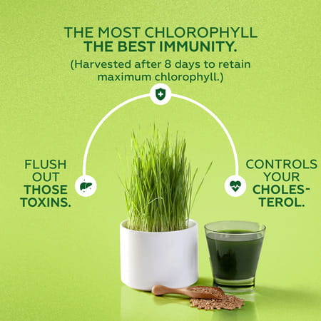 Yogabar Wheat Grass Juice (1 L Bottle)