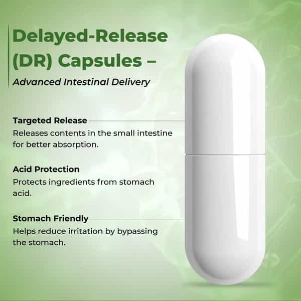 Tq Wellness Pre + Probiotics 60 Capsules