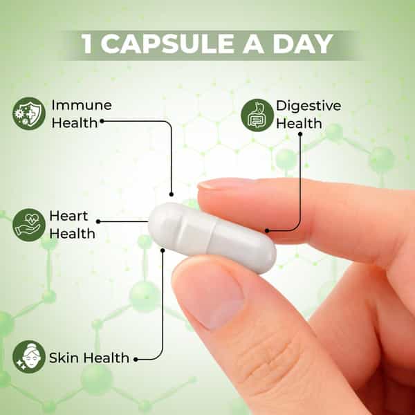 Tq Wellness Pre + Probiotics 60 Capsules