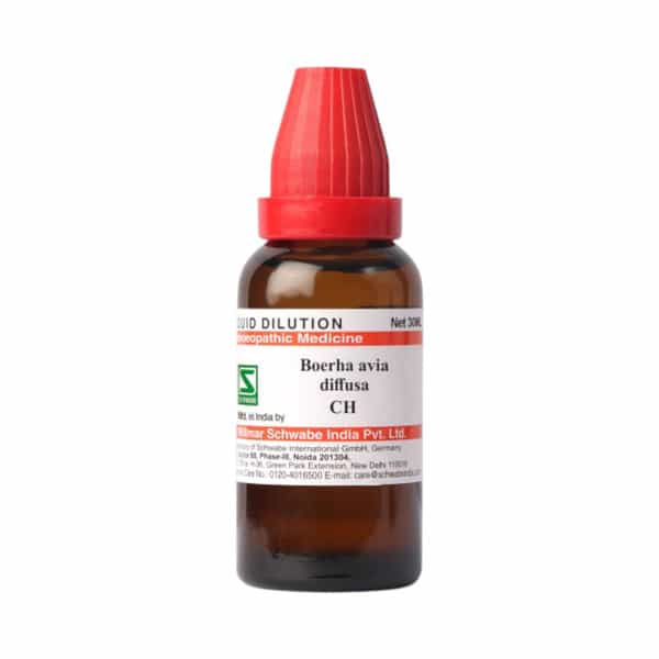 Dr. Willmar Schwabe India Boerhaavia Diffusa 6Ch 30Ml