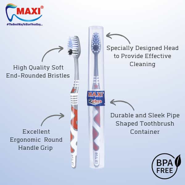 Maxi Zebra Travel Pack Soft Toothbrush (Pack Of 12)