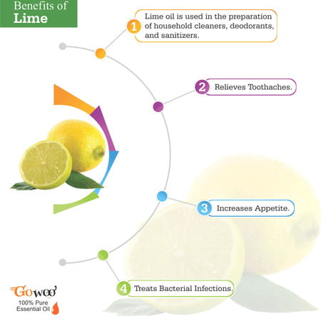 Go Woo 100% Pure Lime - Distilled Oil Virgin & Undiluted 50 Ml