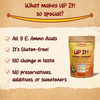 Prolicious Up It! Protein Enhancer | 20G Protein & 8G Fiber | Plant Based | 100G