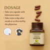 Upakarma Ayurveda Pure Herbs Garcinia Cambogia Capsules 500 Mg 90 Veggie Capsules