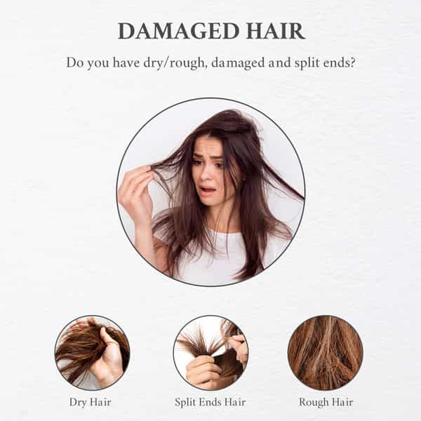 Moroccan Argan Oil Hair Shampoo (300Ml) Pack Of 1