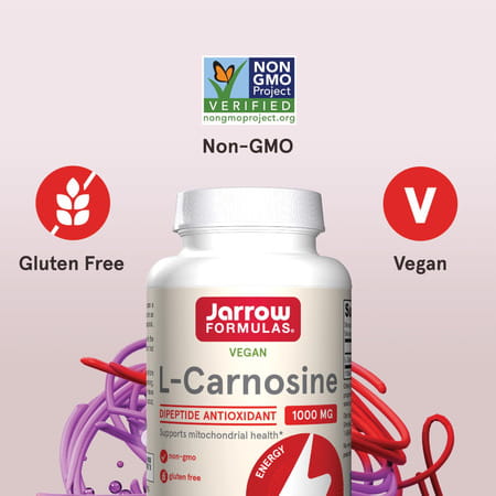 Jarrow Formulas L-Carnosine | 90 Capsules