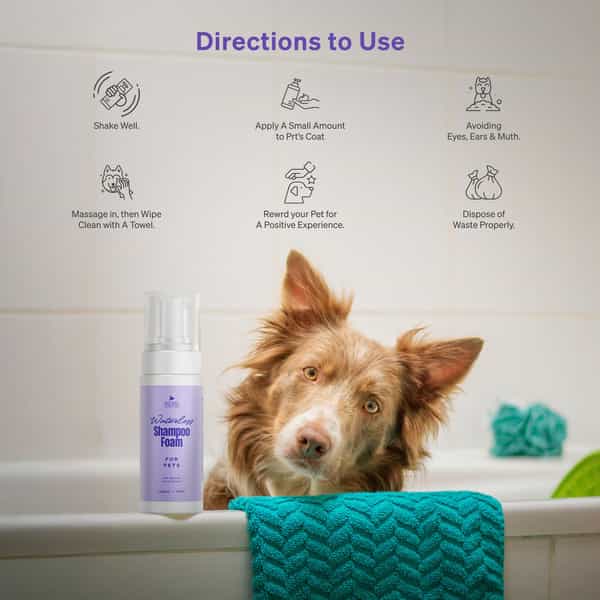 Aroma Groom Foaming Waterless Pet Shampoo - Anti Dandruff 150 Ml