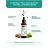 Swisse Skincare Vitamin B3 Anti Blemish Moisturizer With Green Tea & Willow Bark Extract - 115G