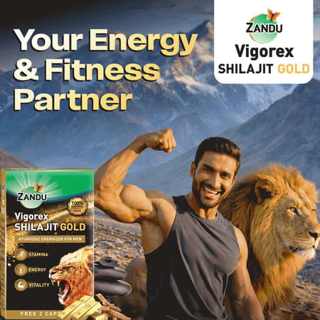 Zandu Vigorex Shilajit Gold | For Stamina | Energy & Vitality | 10+2 Capsules