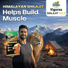 Zandu Vigorex Shilajit Gold | For Stamina | Energy & Vitality | 10+2 Capsules