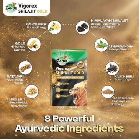 Zandu Vigorex Shilajit Gold | For Stamina | Energy & Vitality | 10+2 Capsules