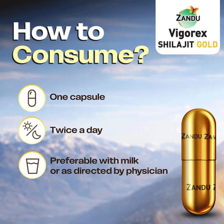 Zandu Vigorex Shilajit Gold | For Stamina | Energy & Vitality | 10+2 Capsules