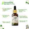 Atulya Jasmine Essential Oil 15 Ml