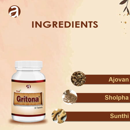 Anuja Gritona Tablet - 90 Tab (Pack Of 3)