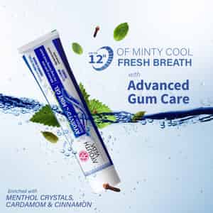 Buy AYOUTHVEDA MINT GEL TOOTHPASTE 100 GM Online & Get Upto 60% OFF at ...