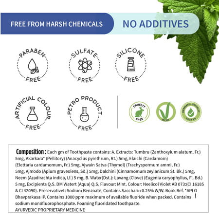 Ayouthveda Mint Gel Toothpaste 100 Gm