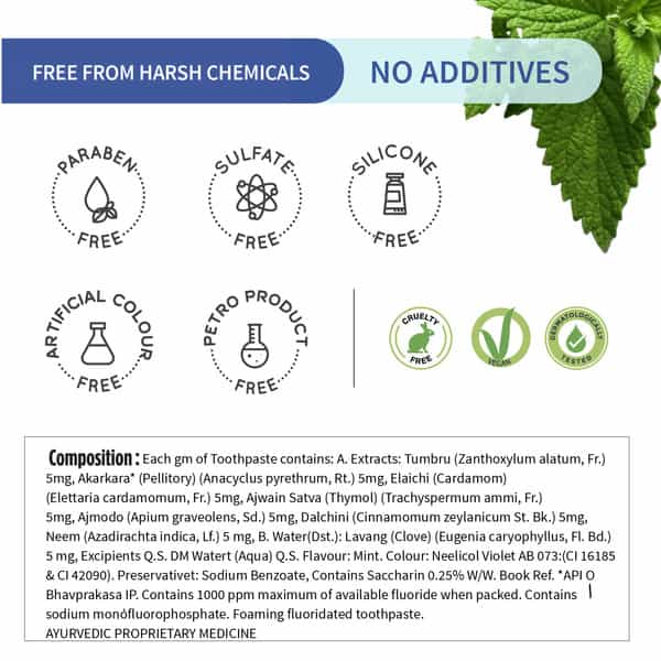 Ayouthveda Mint Gel Toothpaste 100 Gm
