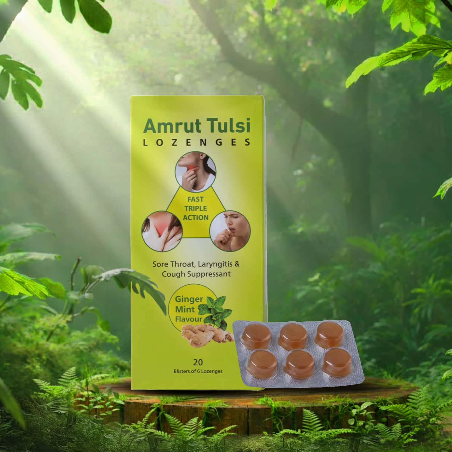 Amrut Tulsi Lozenges (Ginger Mint Flavour) 6 Tab | Cough & Sore Throat (Pack Of 10)