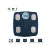Easycare Body Fat Scale/ Analyzer (Up To 6 Persons Data) Along With 9 Multiple Features