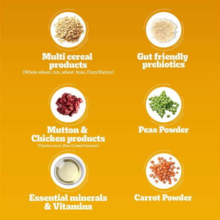 Pedigree Adult Dry Dog Food | Meat & Rice | 20 Kg | Contains 37 Essential Nutrients