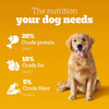 Pedigree Adult Dry Dog Food | Meat & Rice | 20 Kg | Contains 37 Essential Nutrients