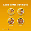 Pedigree Adult Dry Dog Food | Meat & Rice | 20 Kg | Contains 37 Essential Nutrients