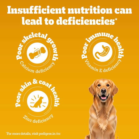 Pedigree Adult Dry Dog Food | Meat & Rice | 20 Kg | Contains 37 Essential Nutrients