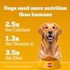 Pedigree Adult Dry Dog Food | Meat & Rice | 20 Kg | Contains 37 Essential Nutrients