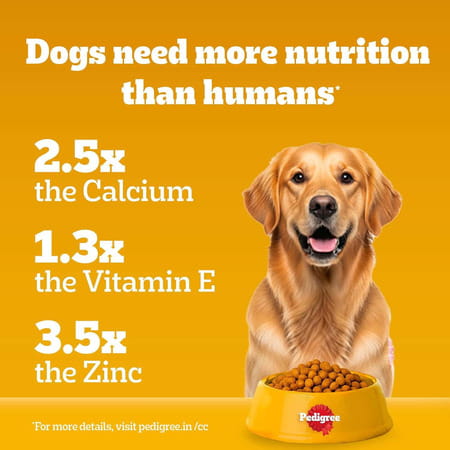 Pedigree Adult Dry Dog Food | Meat & Rice | 20 Kg | Contains 37 Essential Nutrients