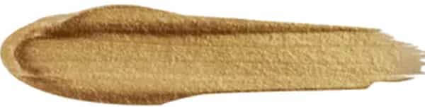 L.a Girl Pro Conceal - Champagne
