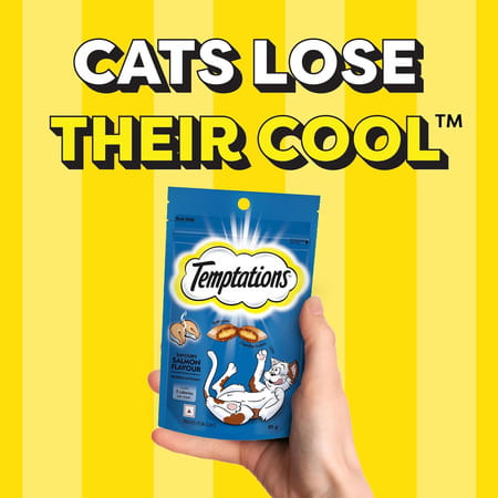 Temptations Crunchy Cat Treats | Savoury Salmon Flavour | 85 G (Pack Of 12)