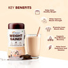 Dr. Morepen Weight Gainer Chocolate Flavour - 500G