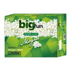 Bigfun Mogra-10 Pc Condom