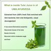 Uma Ayurveda Tulsi Ayurvedic Shake - Useful In Fever Control Immunilogical Jwar - 1L