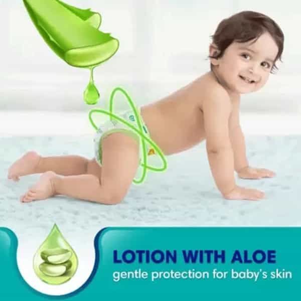 Pampers All Round Protection Pants Large 60 Count Lotion With Aloe Vera