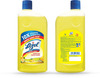 Lizol Citrus Disinfectant Floor Cleaner Liquid Bottle Of 975 Ml