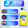 Lizol Citrus Disinfectant Floor Cleaner Liquid Bottle Of 975 Ml
