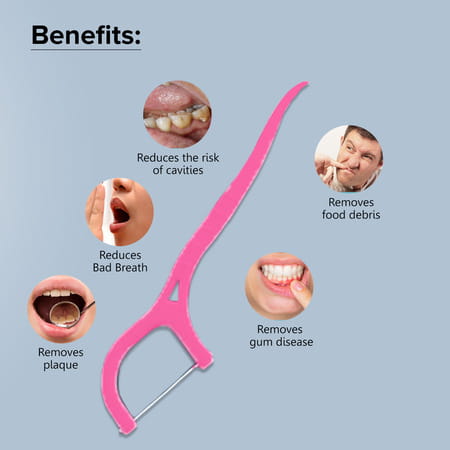 Oralvit Dental Floss | Toothpicks For Teeth Cleaning | Fresh Breath Healthy Gums (Pack Of 20pcs)