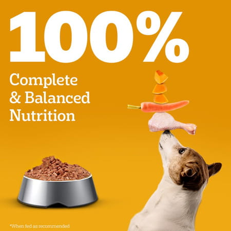 Pedigree Adult Wet Dog Food | Grilled Liver Chunks Flavour In Gravy With Vegetables | 30 X 70 Gg