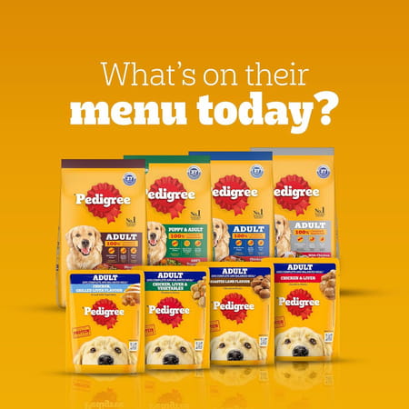 Pedigree Adult Wet Dog Food | Grilled Liver Chunks Flavour In Gravy With Vegetables | 30 X 70 Gg