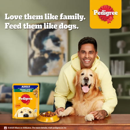 Pedigree Adult Wet Dog Food | Grilled Liver Chunks Flavour In Gravy With Vegetables | 30 X 70 Gg