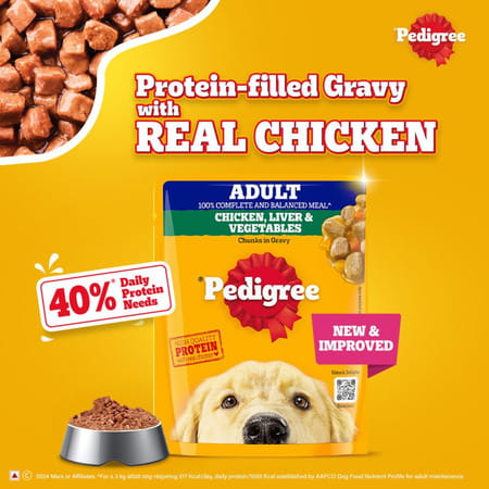 Pedigree Adult Wet Dog Food | Grilled Liver Chunks Flavour In Gravy With Vegetables | 30 X 70 Gg