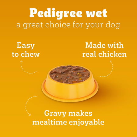Pedigree Adult Wet Dog Food | Grilled Liver Chunks Flavour In Gravy With Vegetables | 30 X 70 Gg