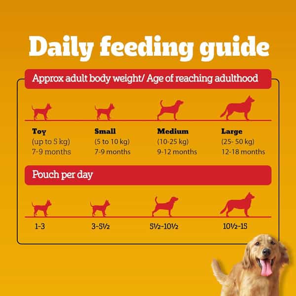 Pedigree Adult Wet Dog Food | Grilled Liver Chunks Flavour In Gravy With Vegetables | 30 X 70 Gg
