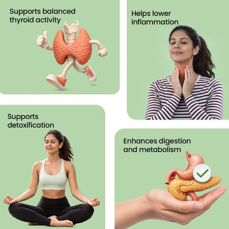 Sheopal'S Thyrobic Capsule - Ayurvedic Thyroid Capsule