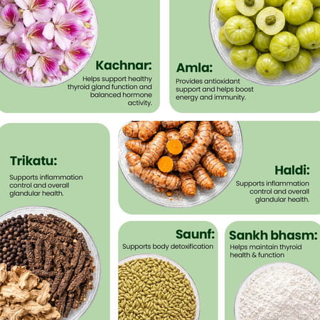 Sheopal'S Thyrobic Capsule - Ayurvedic Thyroid Capsule