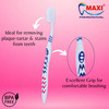 Maxi Mango Hard Toothbrush (Pack Of 6)